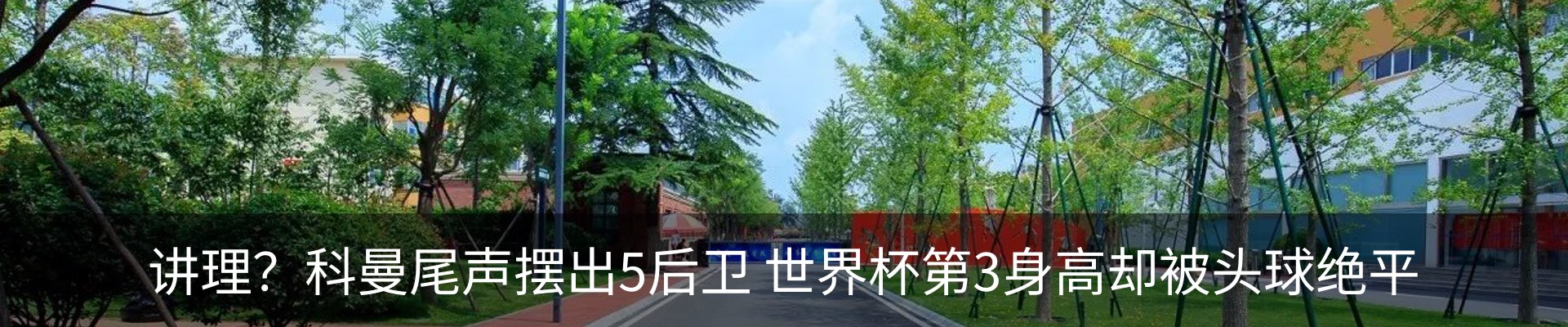 最新动态